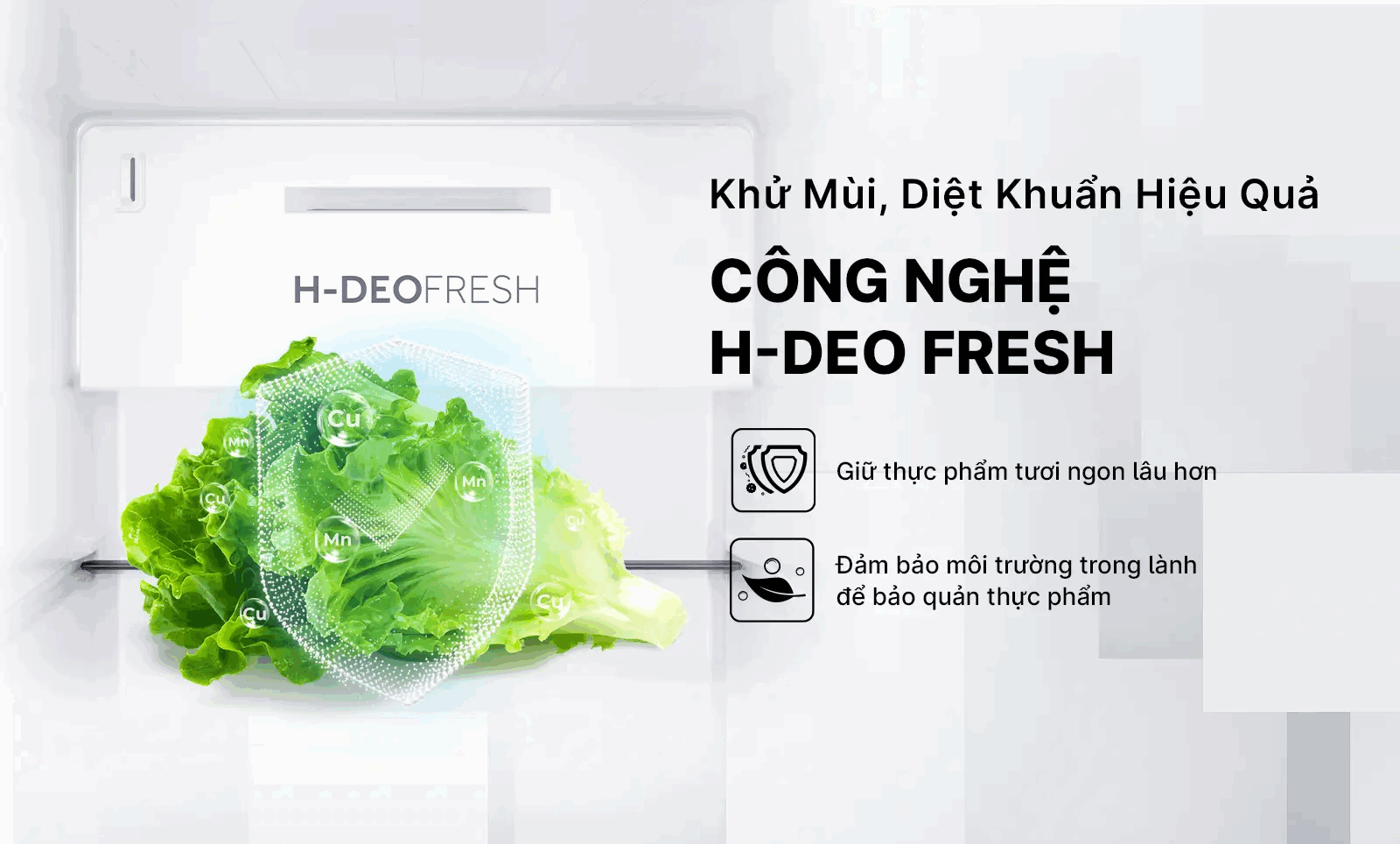 Bộ lọc khử mùi và kháng khuẩn H-DEO Fresh